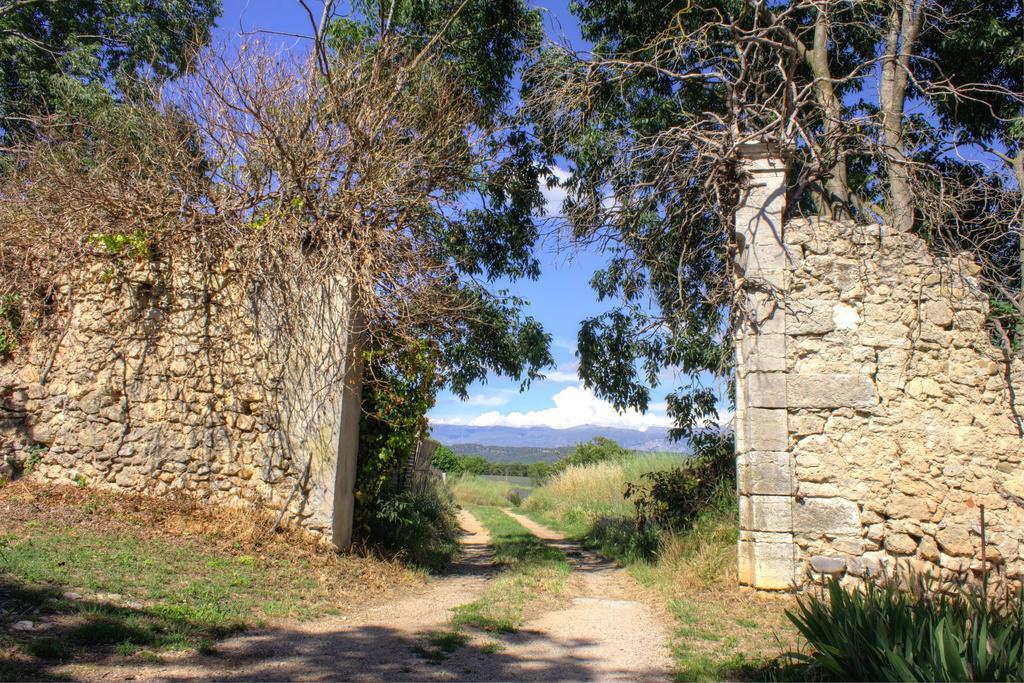 La Colombiere Du Chateau Saint-Laurent-du-Verdon Eksteriør billede
